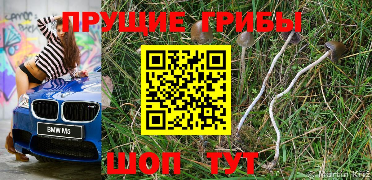 Галлюциногенные грибы ЛСД  как найти закладки  Семёнов  Вход с VPN 